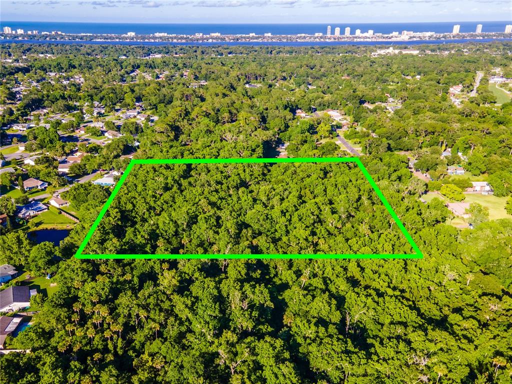 a view of a area with a lush green forest