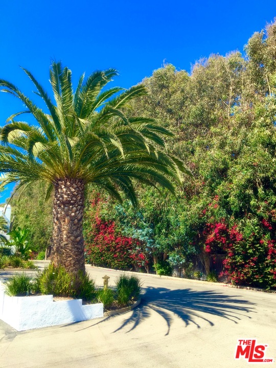 31244 Bailard Road Malibu, CA 90265 - Photo 7 of 42 Gallery Image 7