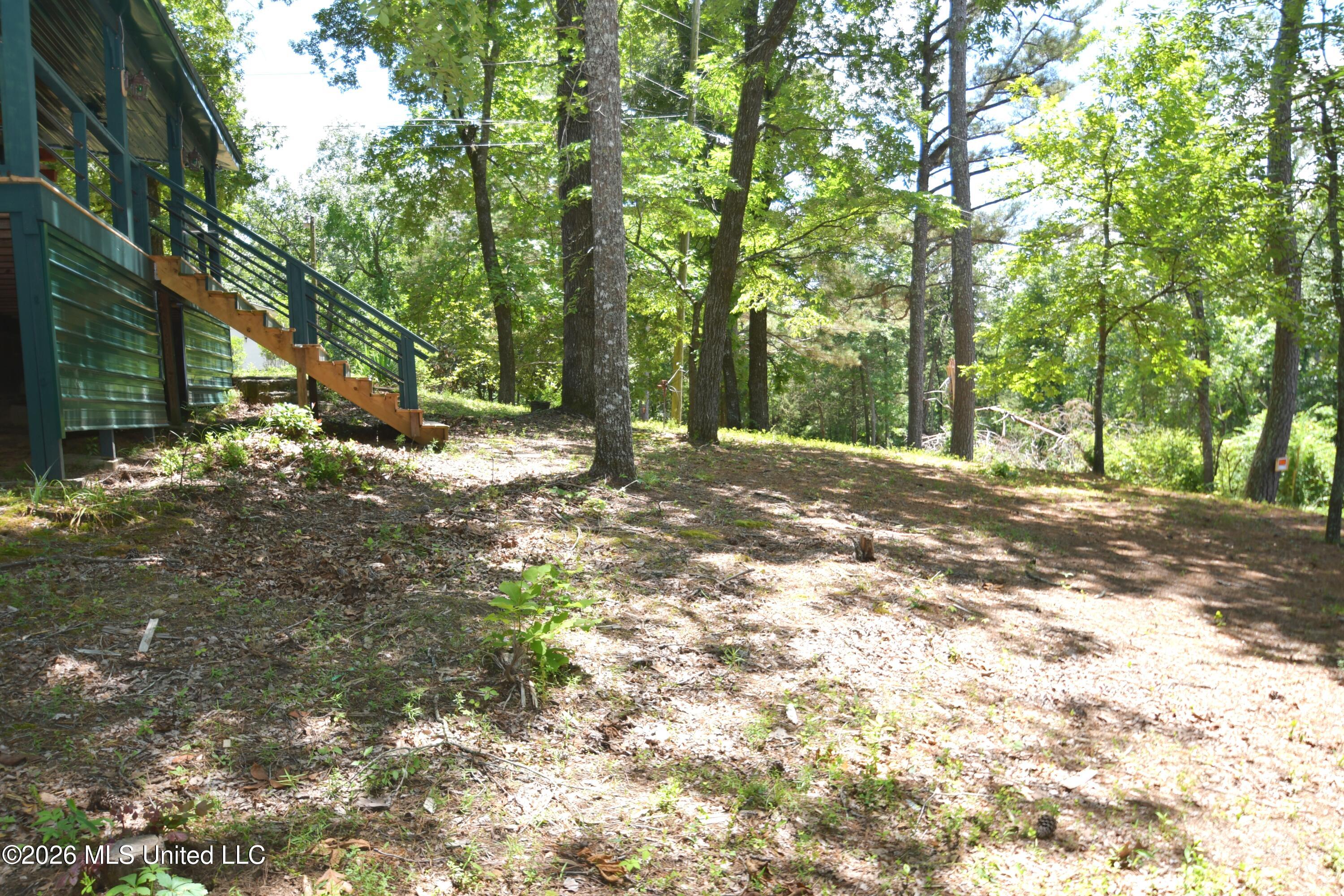 180 Red Oak Road Ashland, MS 38603 - Photo 19 of 33 Front Yard