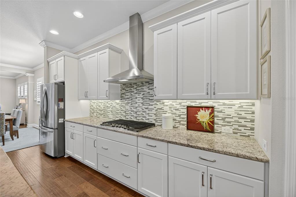 6002 Sparrowhead Way Lithia, FL 33547 - Photo 16 of 57 a kitchen with stainless steel appliances granite countertop white cabinets and a granite counter tops