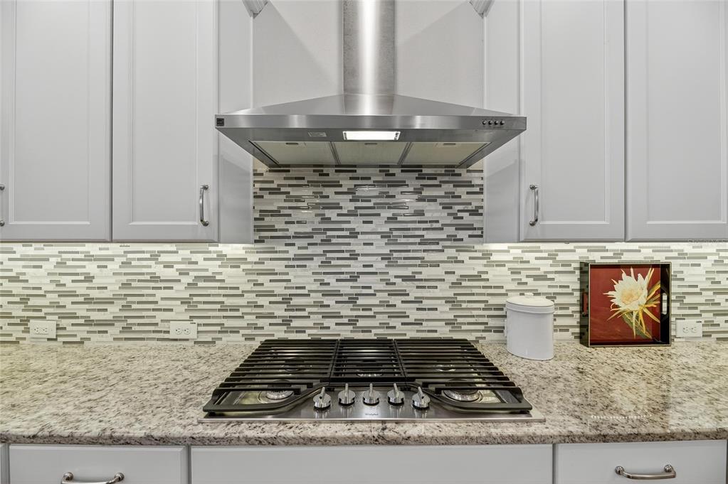 6002 Sparrowhead Way Lithia, FL 33547 - Photo 19 of 57 a room with granite countertop a stove and a granite counter tops