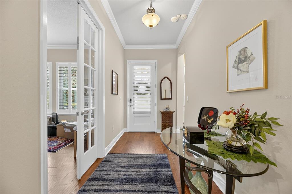 6002 Sparrowhead Way Lithia, FL 33547 - Photo 19 of 55 a living room with furniture a chandelier and a rug