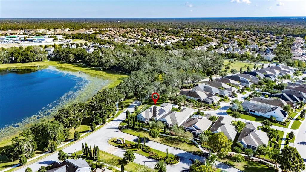 6002 Sparrowhead Way Lithia, FL 33547 - Photo 49 of 57 a view of a city