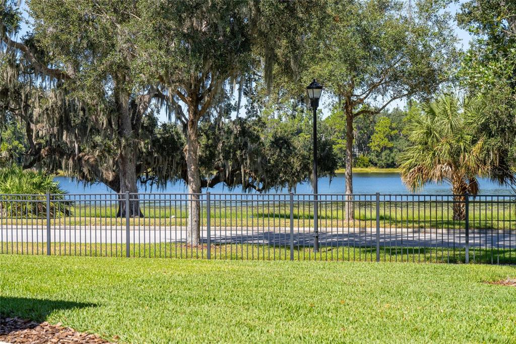 6002 Sparrowhead Way Lithia, FL 33547 - Photo 55 of 55