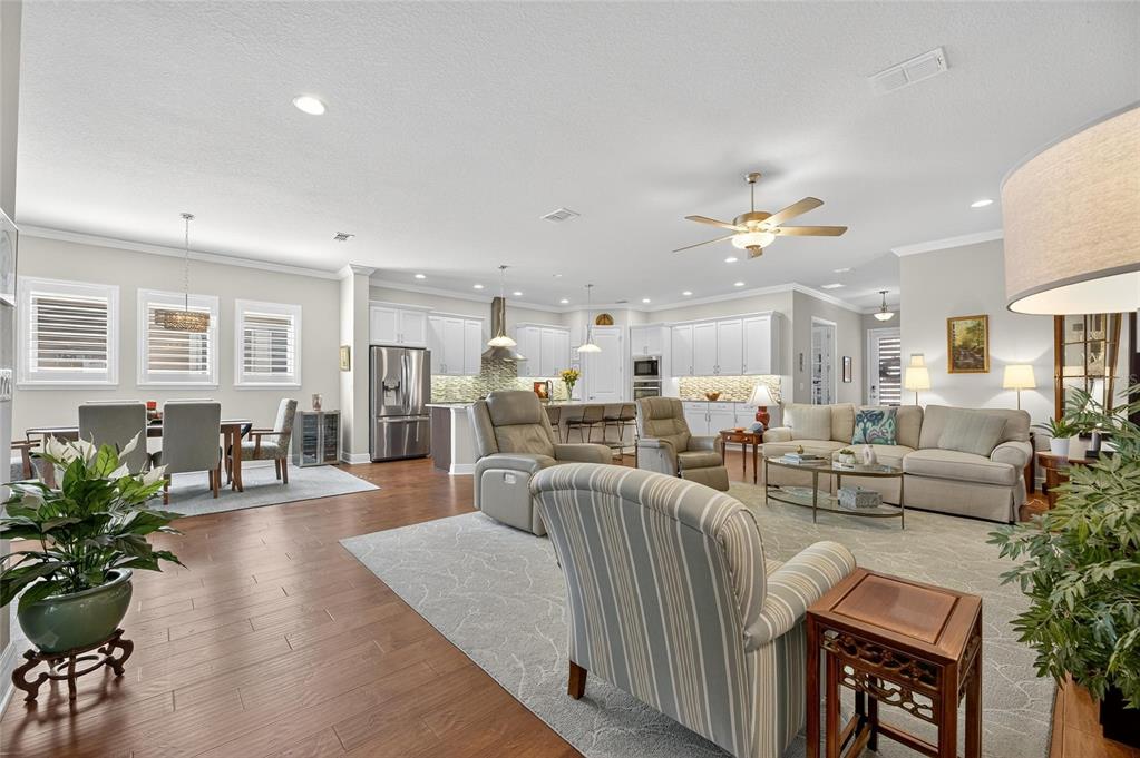 6002 Sparrowhead Way Lithia, FL 33547 - Photo 10 of 55 a living room with furniture kitchen view and a potted plant