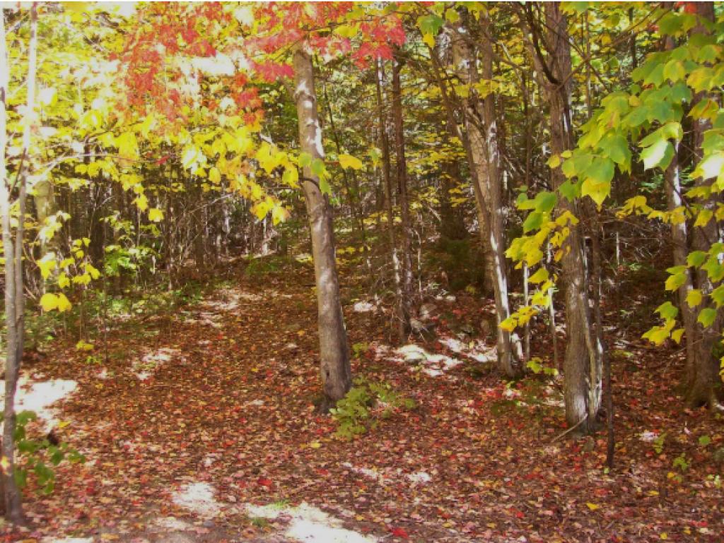 880 Milan Hill Road Milan, NH 03588 - Photo 12 of 12 Gallery Image 12
