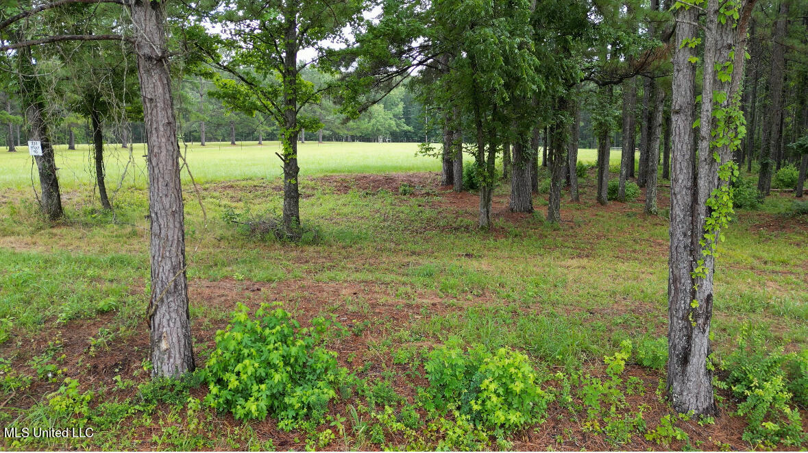 273 Stout Road Canton, MS 39046 - Photo 4 of 11 Stout Farms_Road