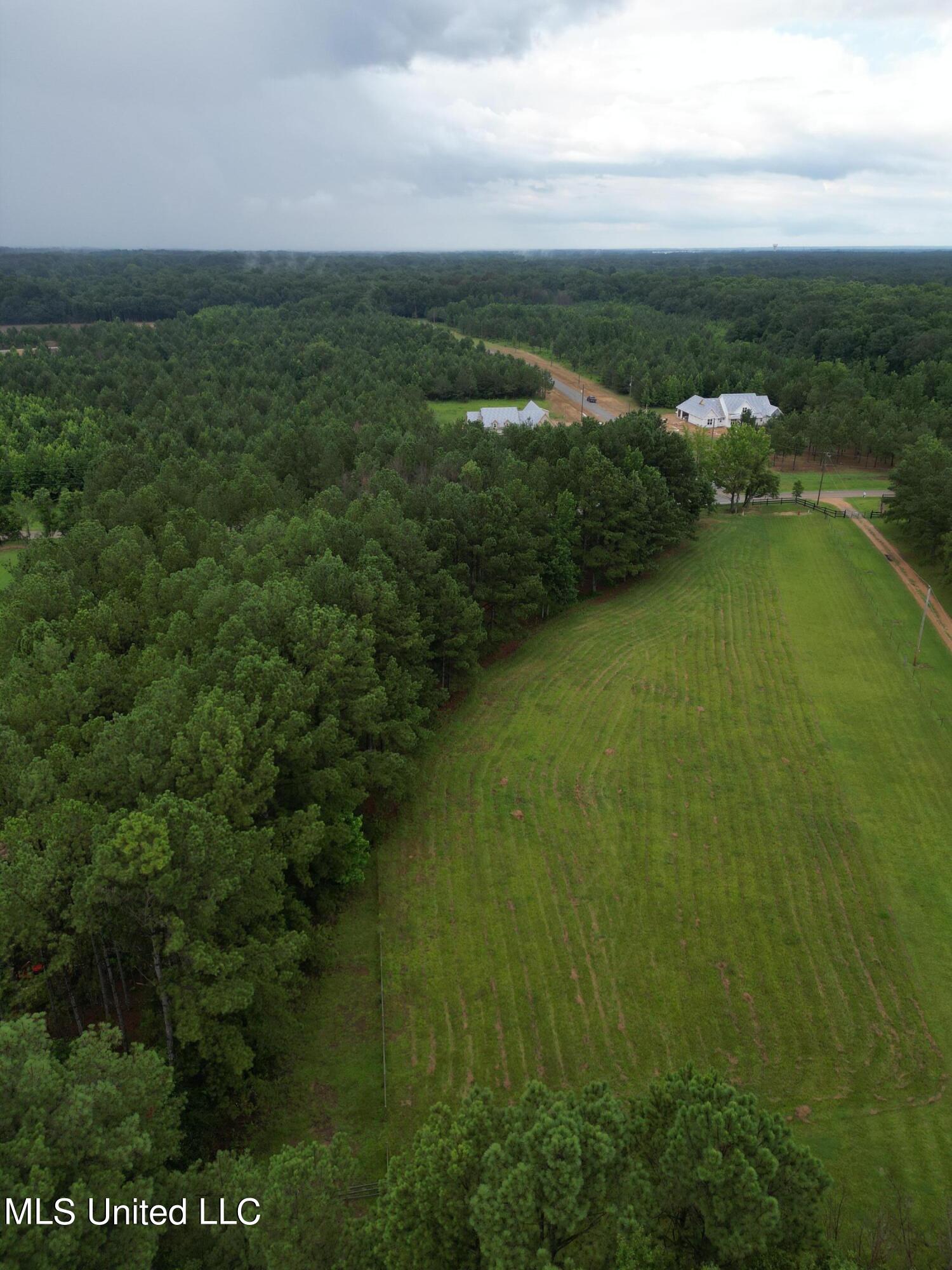 273 Stout Road Canton, MS 39046 - Photo 7 of 11 Stout Farms_Lot 3