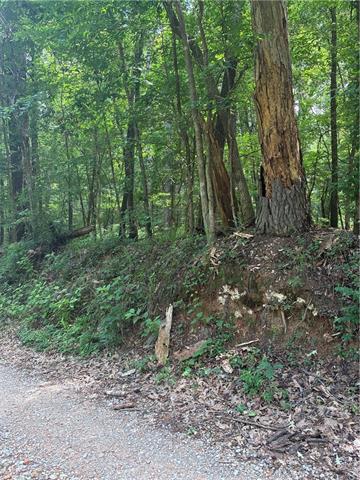 0 Gin Road Pineville, LA 71360 - Photo 7 of 7