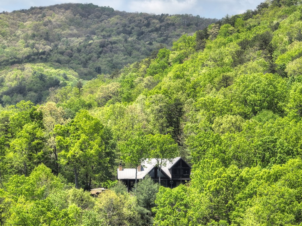 46 Cochise Road Cherry Log, GA 30522 - Photo 62 of 63