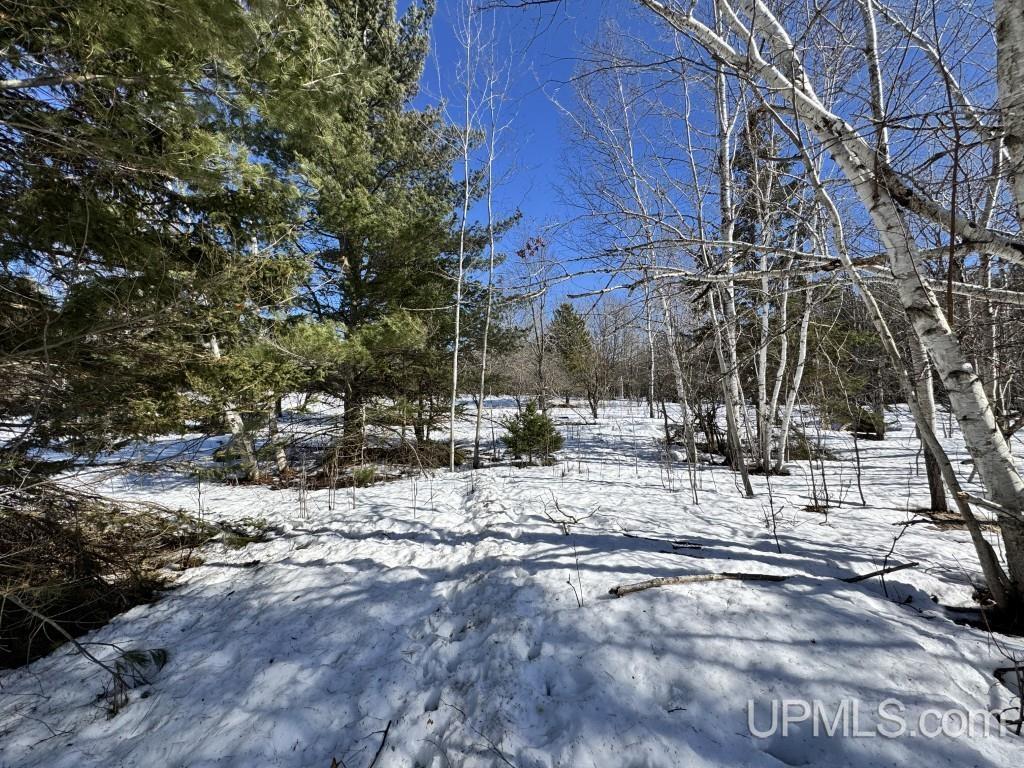 Tbd Bellaire Road Baraga, MI 49908 - Photo 8 of 20