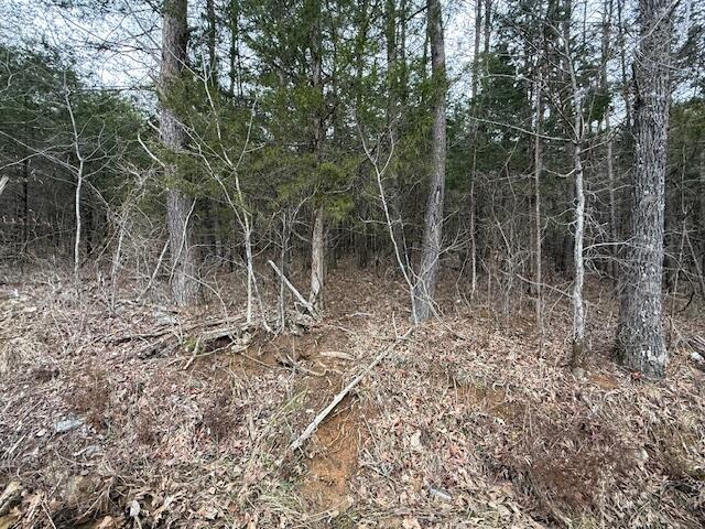 790 Rd Bronston Key Bronston, KY 42518 - Photo 5 of 27 image28