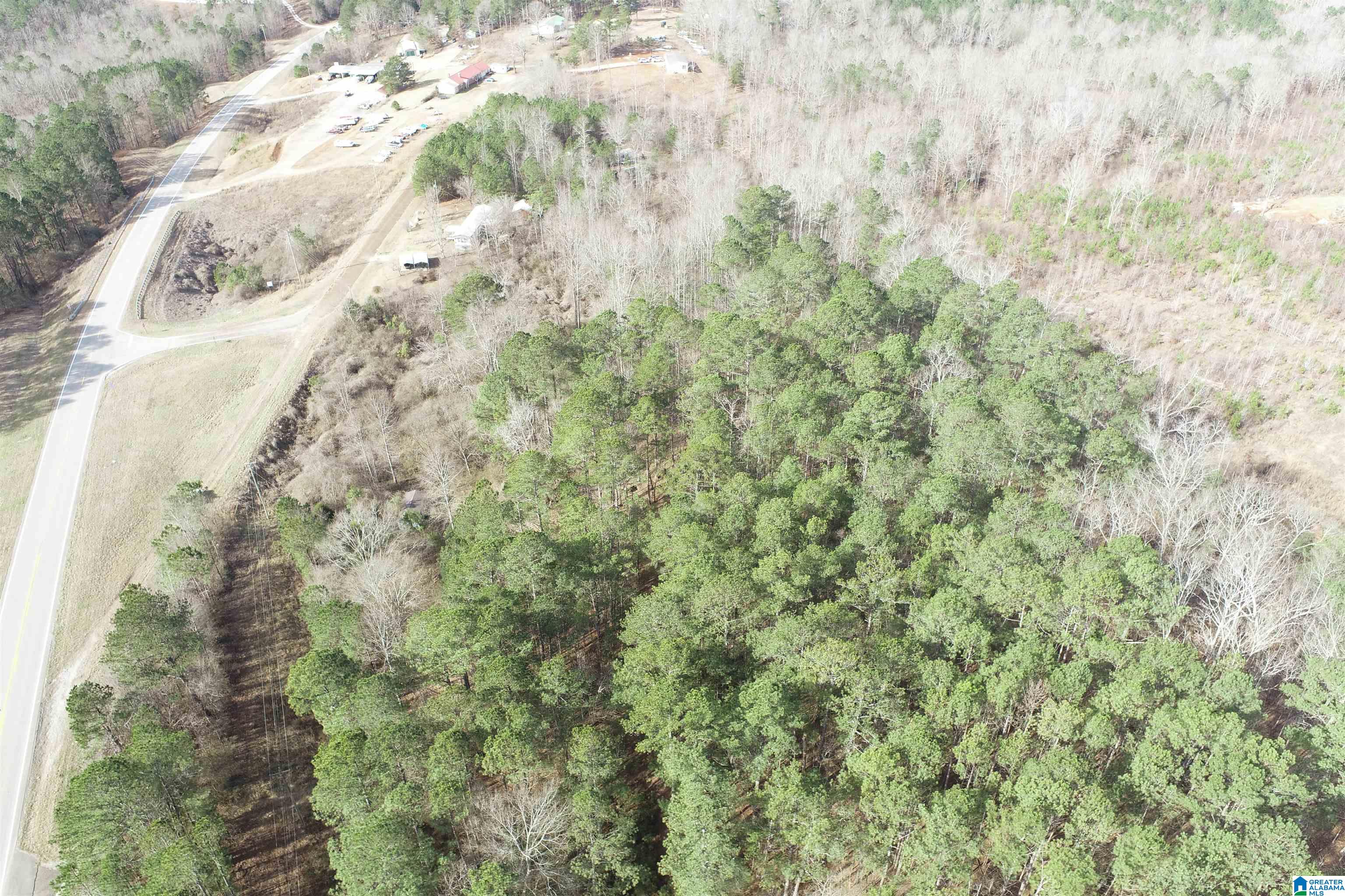 0 Highway 48 Wedowee, AL 36278 - Photo 1 of 9