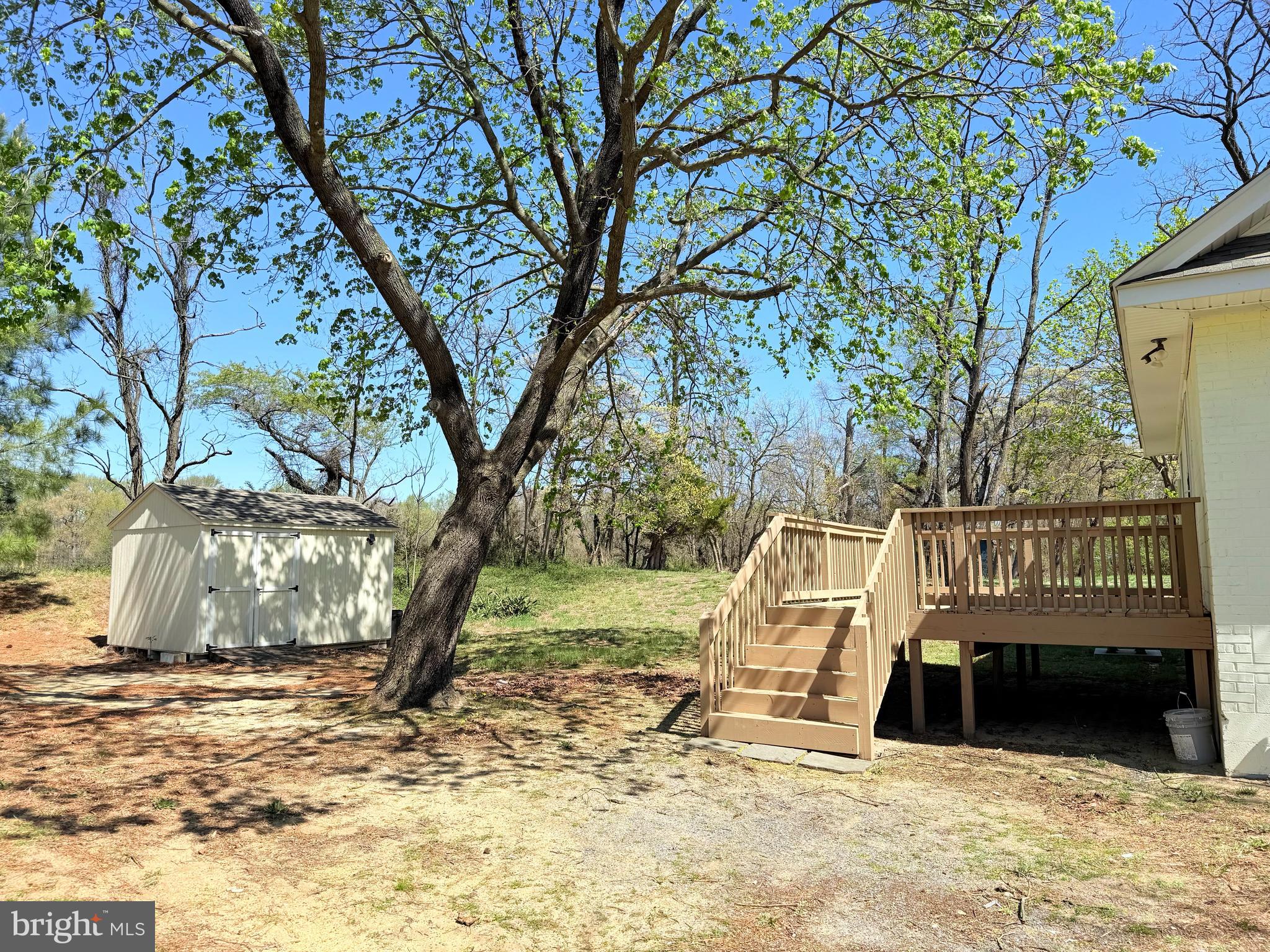 115 Boyce Mill Road Greensboro, MD 21639 - Photo 26 of 29 Storage Shed