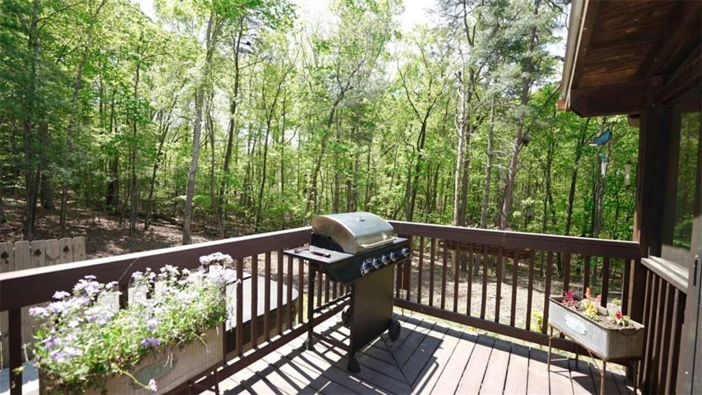 210 Shade Tree Lane Mineral Bluff, GA 30559 - Photo 16 of 47