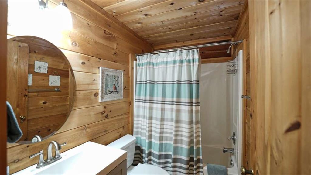 210 Shade Tree Lane Mineral Bluff, GA 30559 - Photo 32 of 47