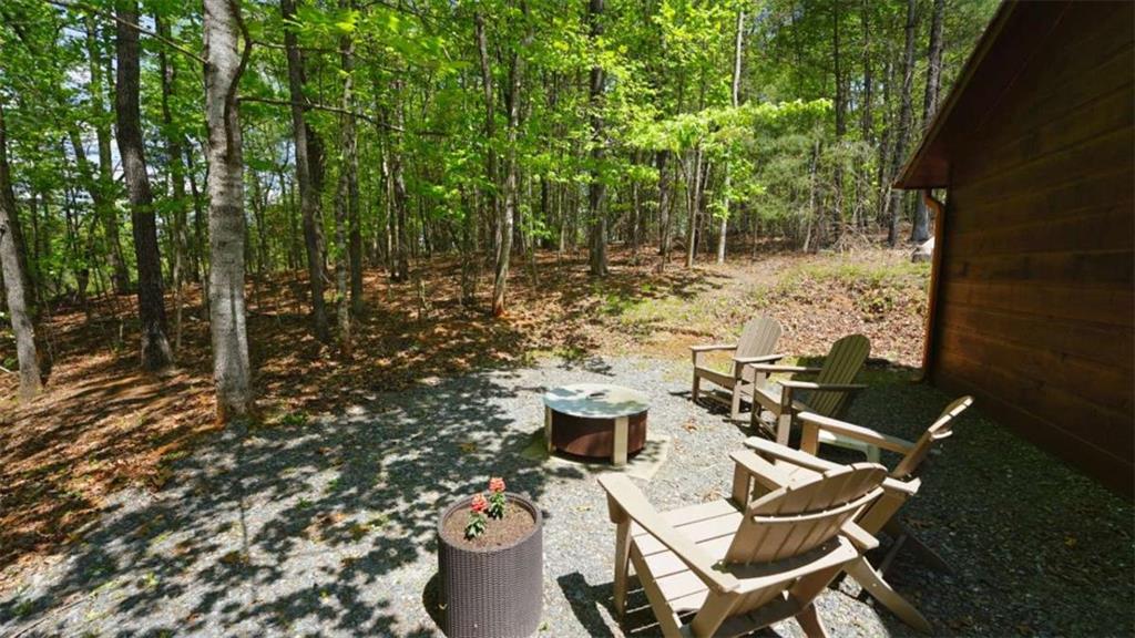 210 Shade Tree Lane Mineral Bluff, GA 30559 - Photo 45 of 47