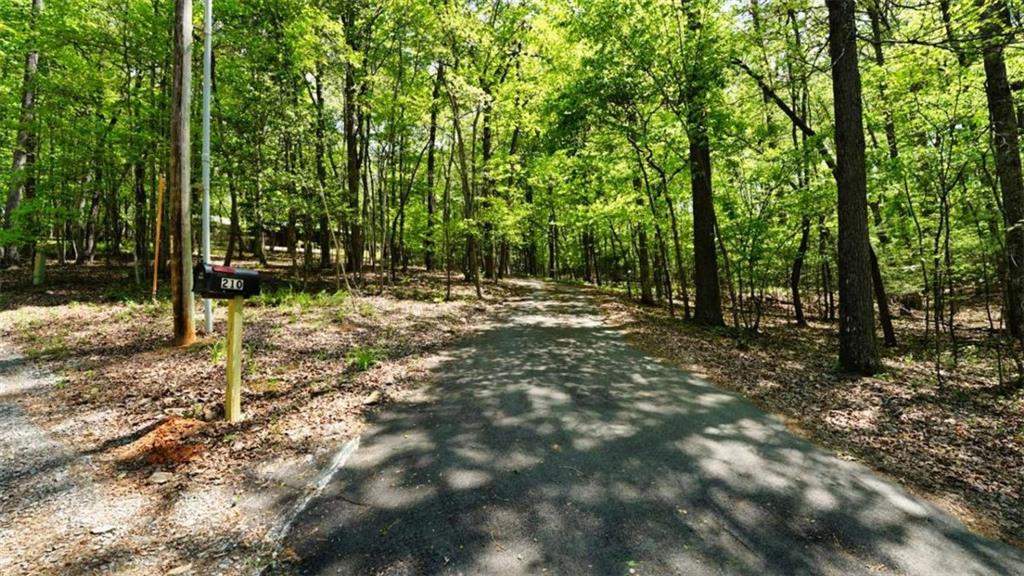 210 Shade Tree Lane Mineral Bluff, GA 30559 - Photo 46 of 47