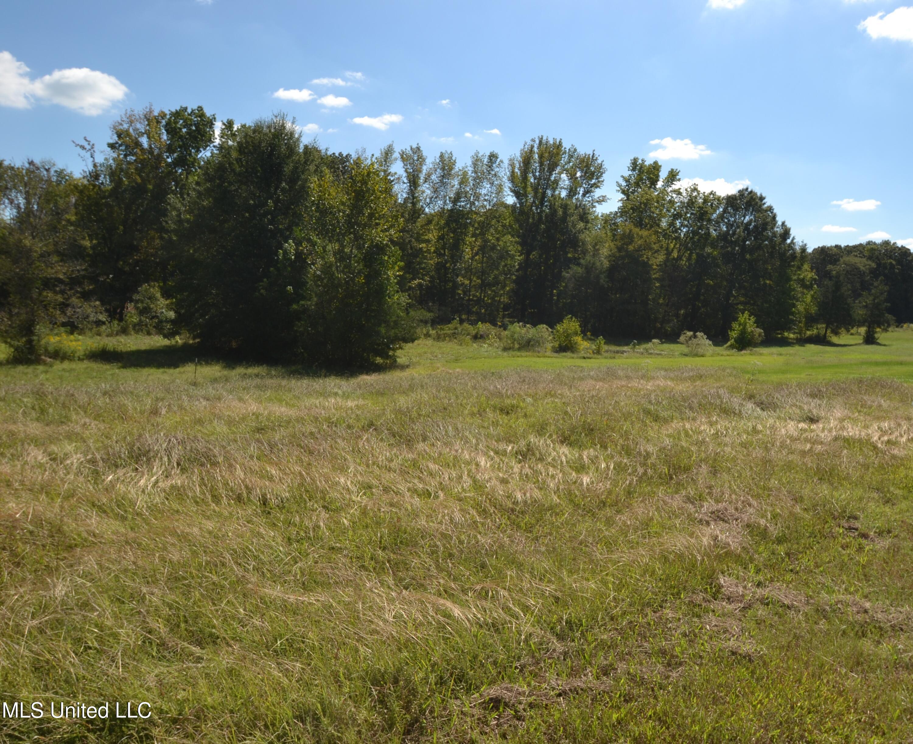 2733 B Wheeler Road Hernando, MS 38632 - Photo 23 of 27 Backyard