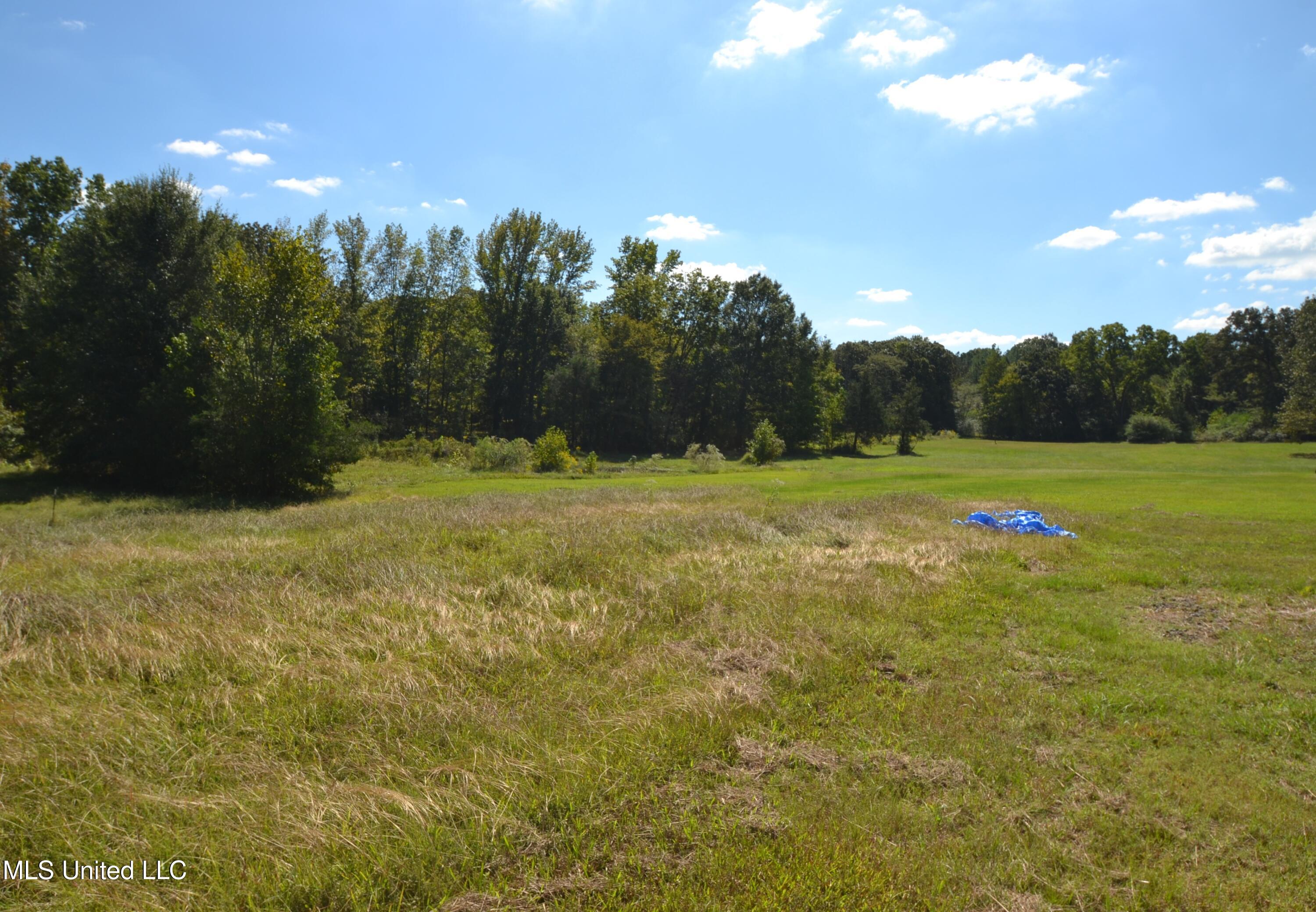 2733 B Wheeler Road Hernando, MS 38632 - Photo 26 of 27 Back Yard