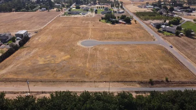 a view of a garden with a bench