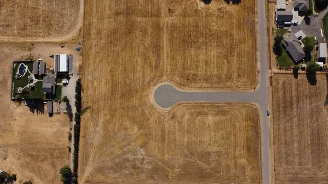a view of an ocean and trees
