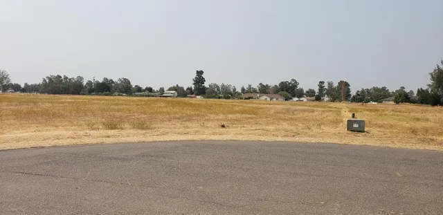a view of backyard with green space