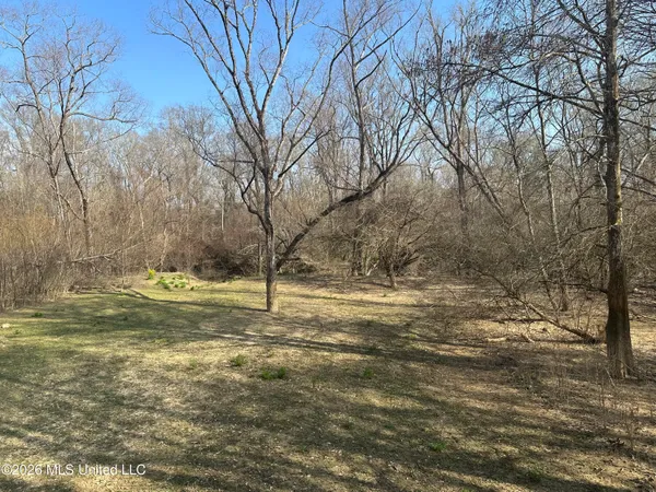 $40,000 | 24620 Davis Dead River Circle, Unit LOT 37, Lucedale, MS 39452
