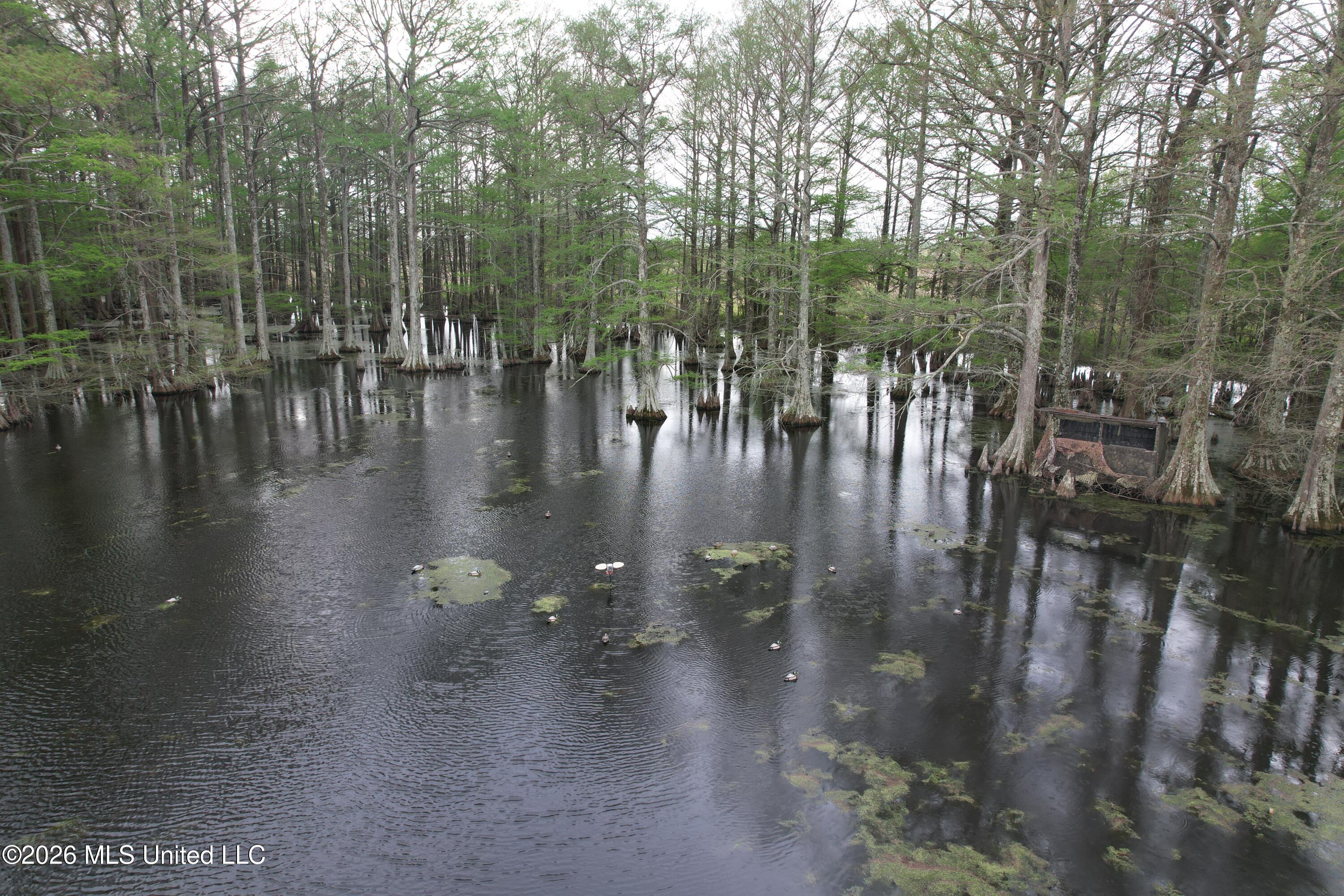 Shaw Road Sledge, MS 38670 - Photo 13 of 45 DJI_0236