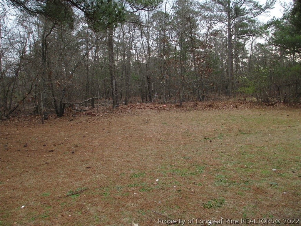 6065 Edwards Road Sanford, NC 27332 - Photo 3 of 21 Gallery Image 3