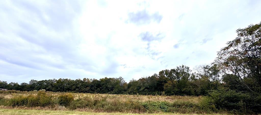 0 Cowarts Creek Road Cowarts, AL 36321 - Photo 1 of 5