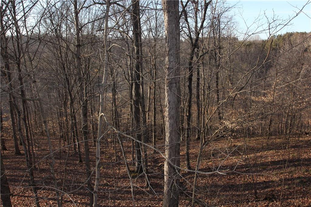 2001 Helmsburg Road Nashville, IN 47448 - Photo 10 of 44 Gallery Image 10