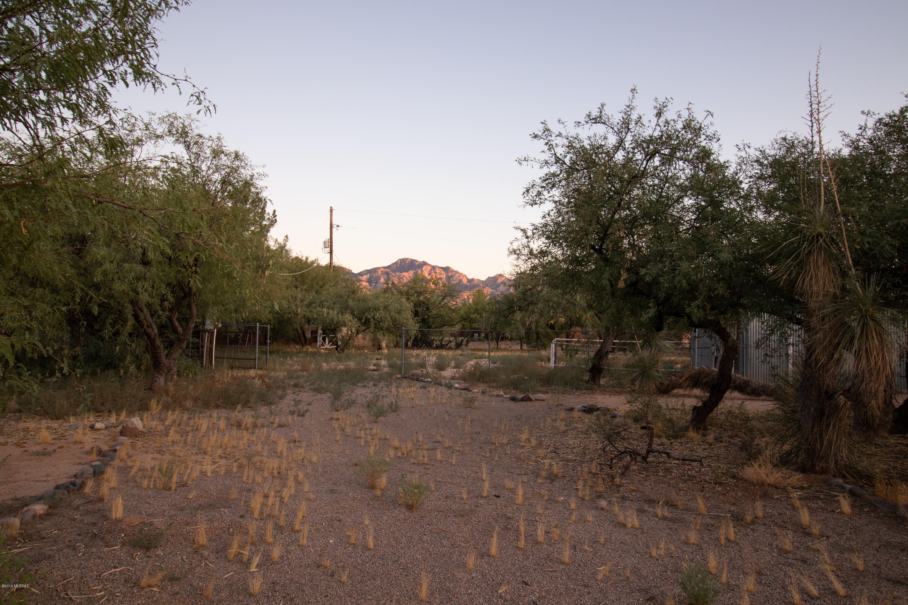3950 East Wilds Road Tucson, AZ 85739 - Photo 6 of 15