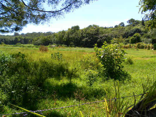 6 Iwipoo Road Kalaheo, HI 96741 - Photo 1 of 3 Gallery Image 1