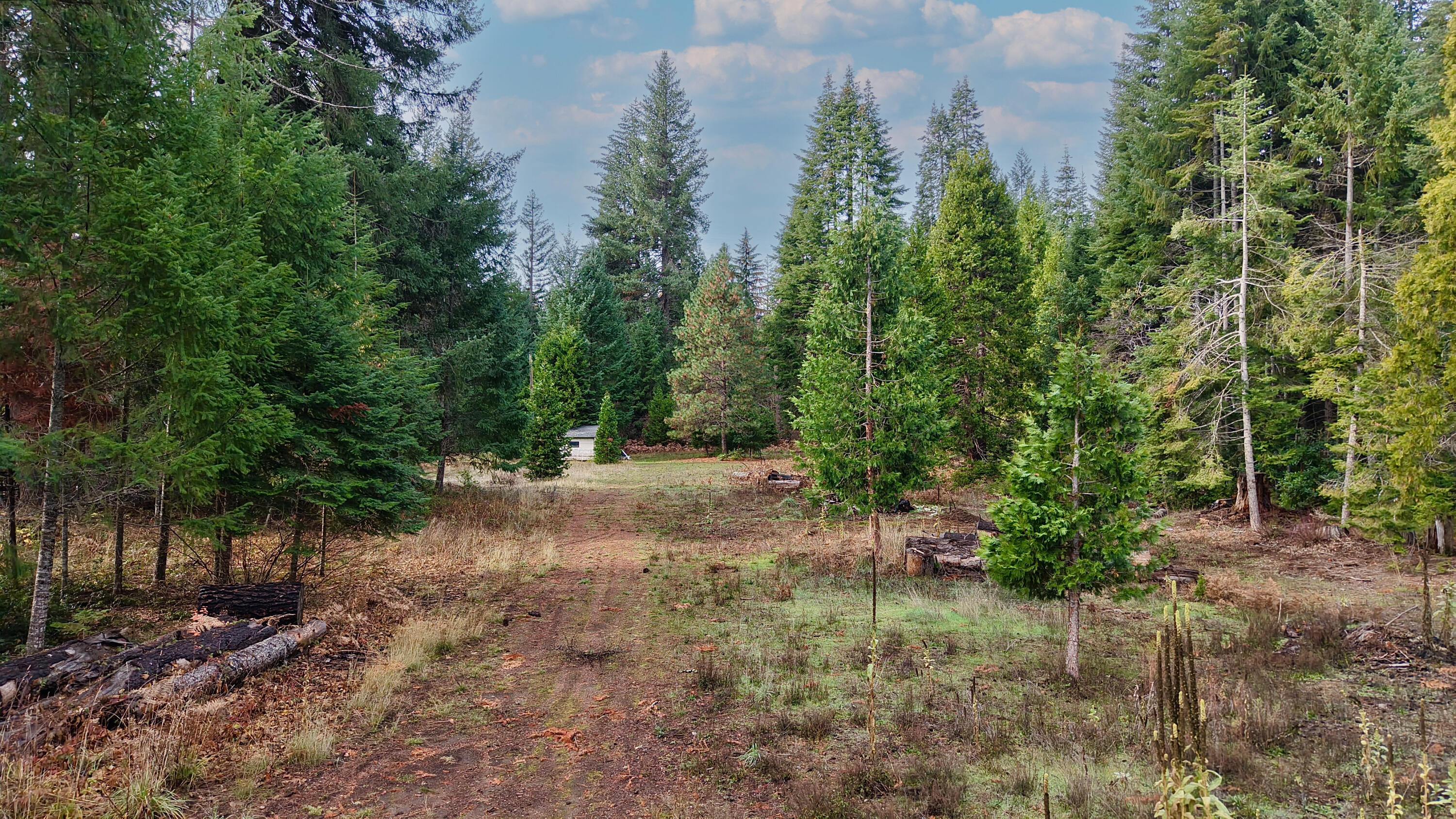 431 Red Blanket Road Prospect, OR 97536 - Photo 42 of 48 Path to Barr Creek