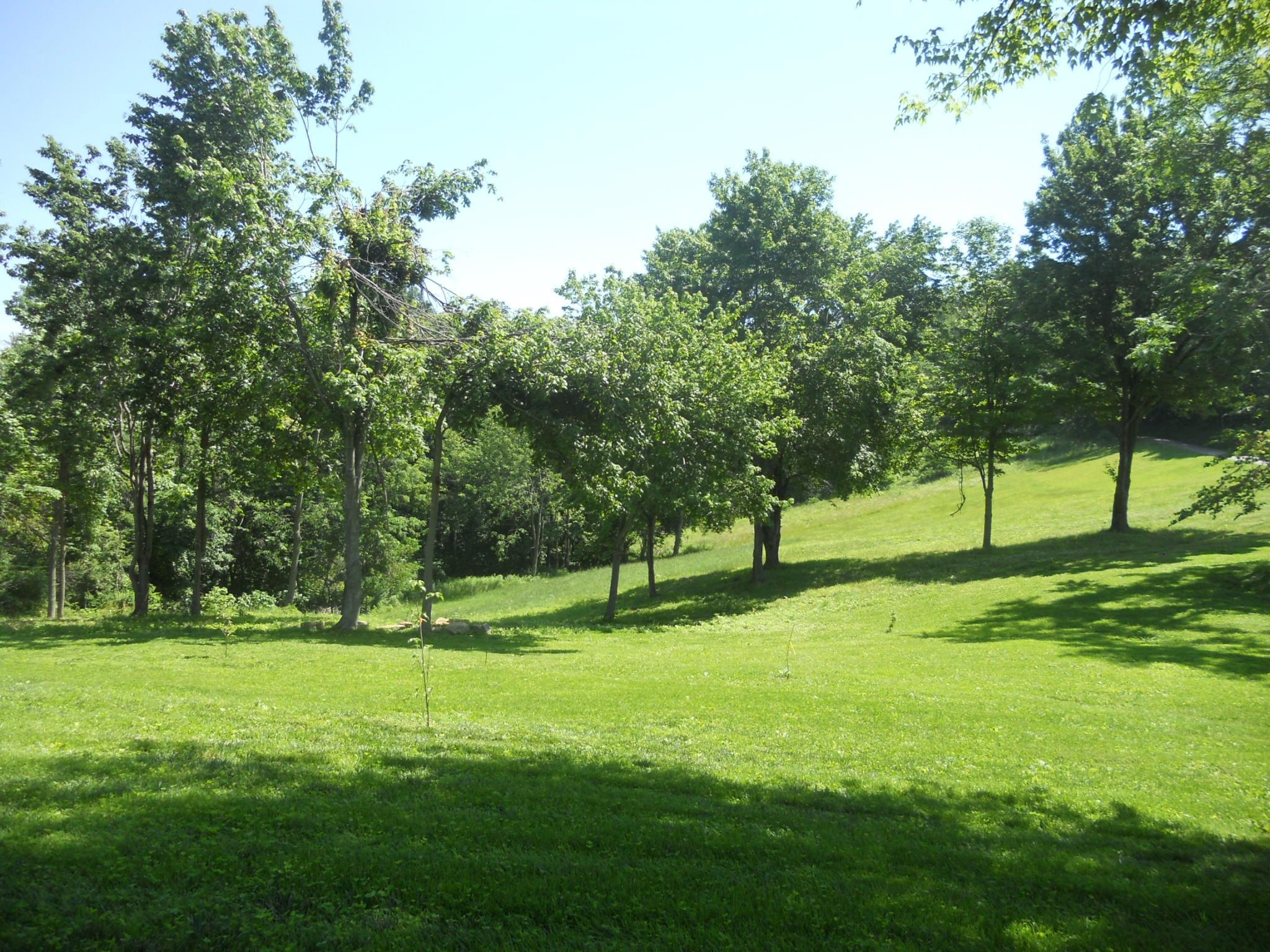 10525 Dutch Hill Road Dresden, OH 43821 - Photo 23 of 45