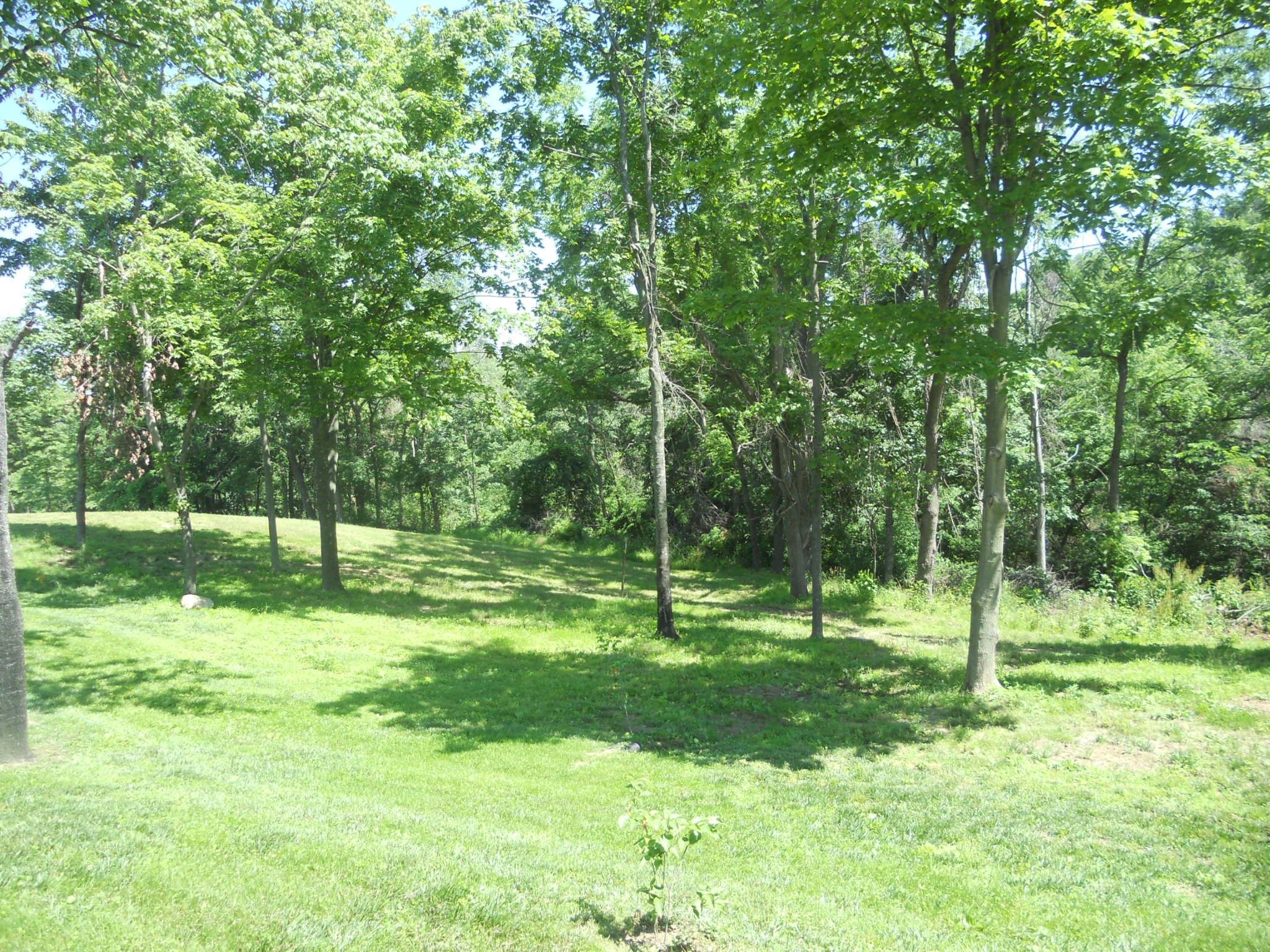 10525 Dutch Hill Road Dresden, OH 43821 - Photo 25 of 45