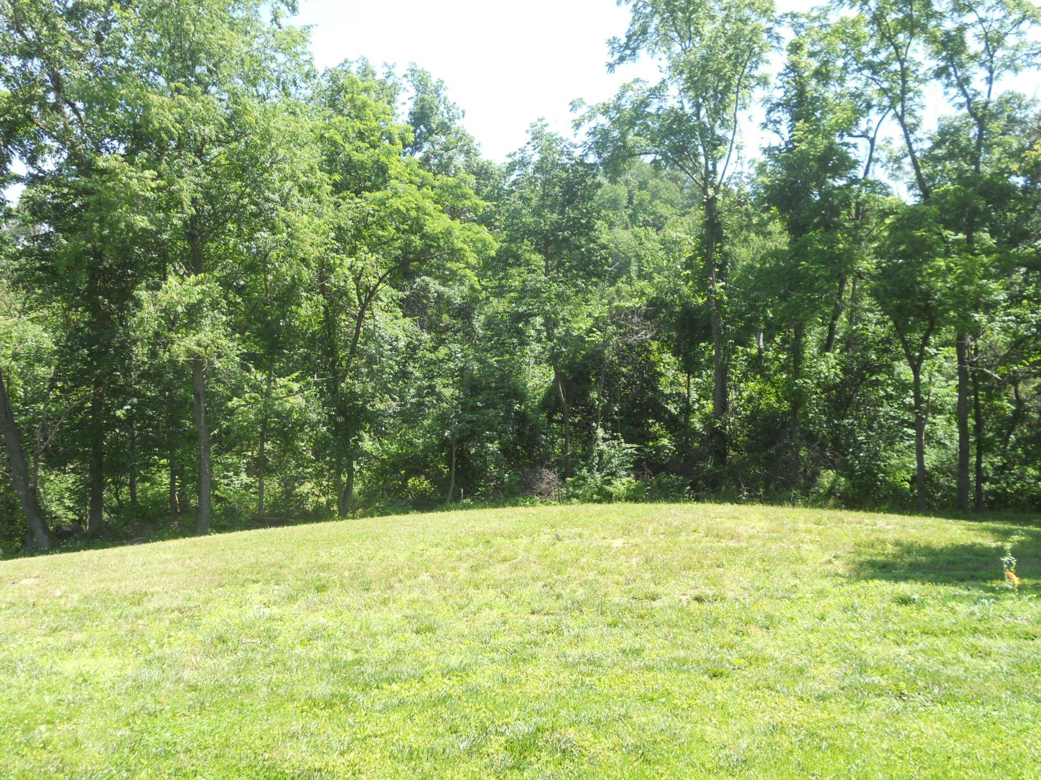 10525 Dutch Hill Road Dresden, OH 43821 - Photo 28 of 45