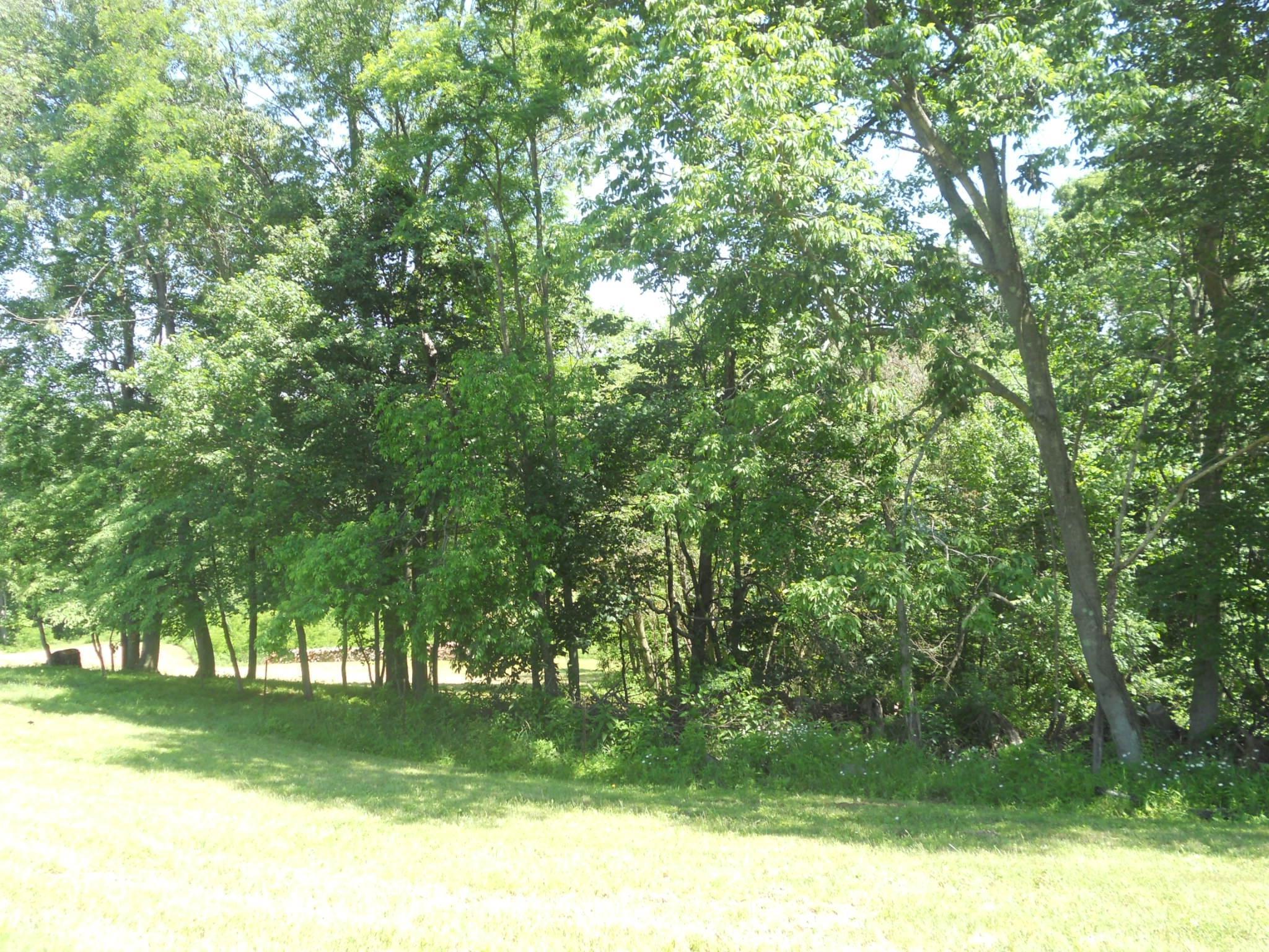 10525 Dutch Hill Road Dresden, OH 43821 - Photo 29 of 45