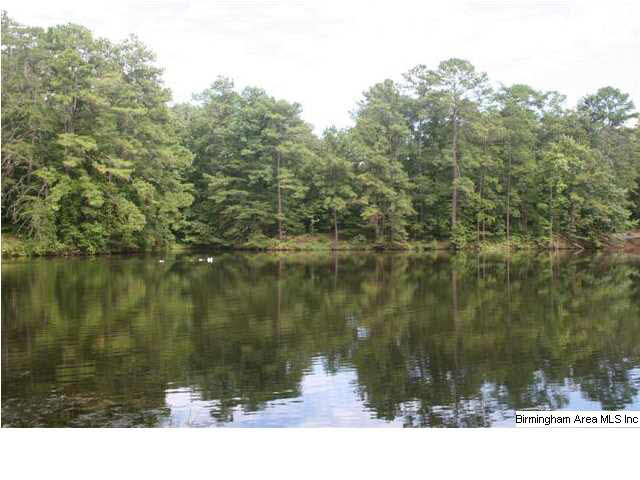 777 Carl Raines Lake Road Birmingham, AL 35244 - Photo 9 of 32