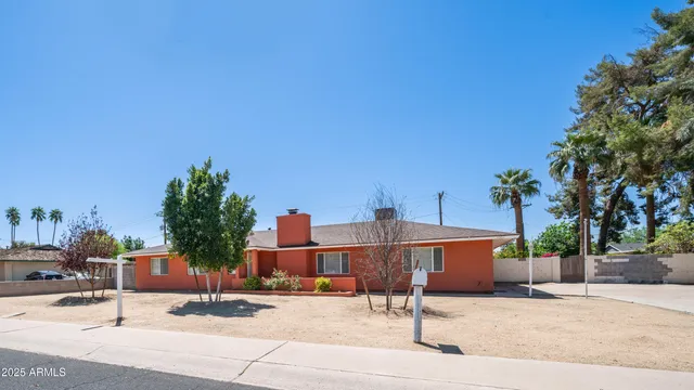 a outdoor space with lots of palm trees