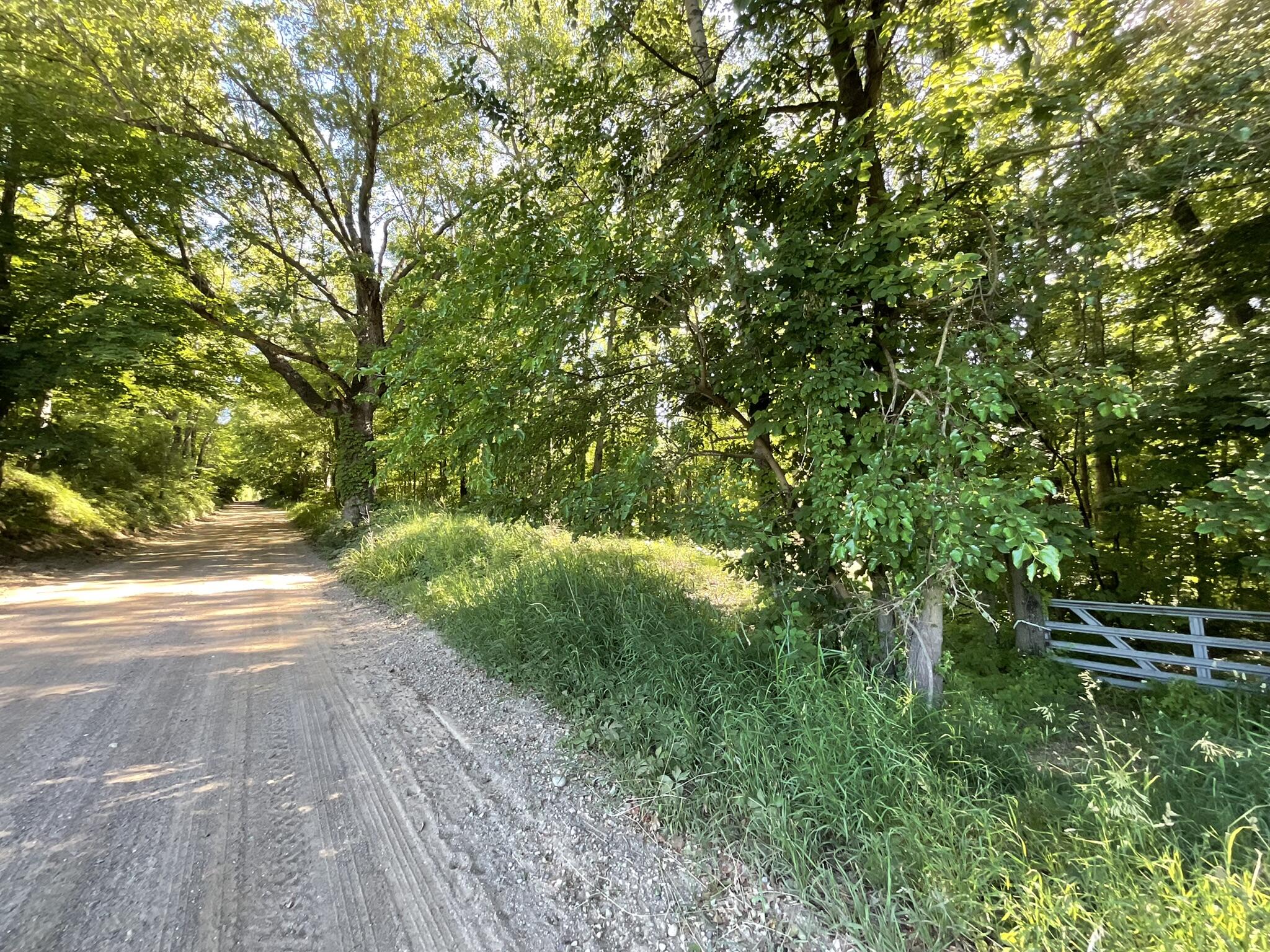 3980 Morgan Road Nashville, MI 49073 - Photo 24 of 35 IMG_0407
