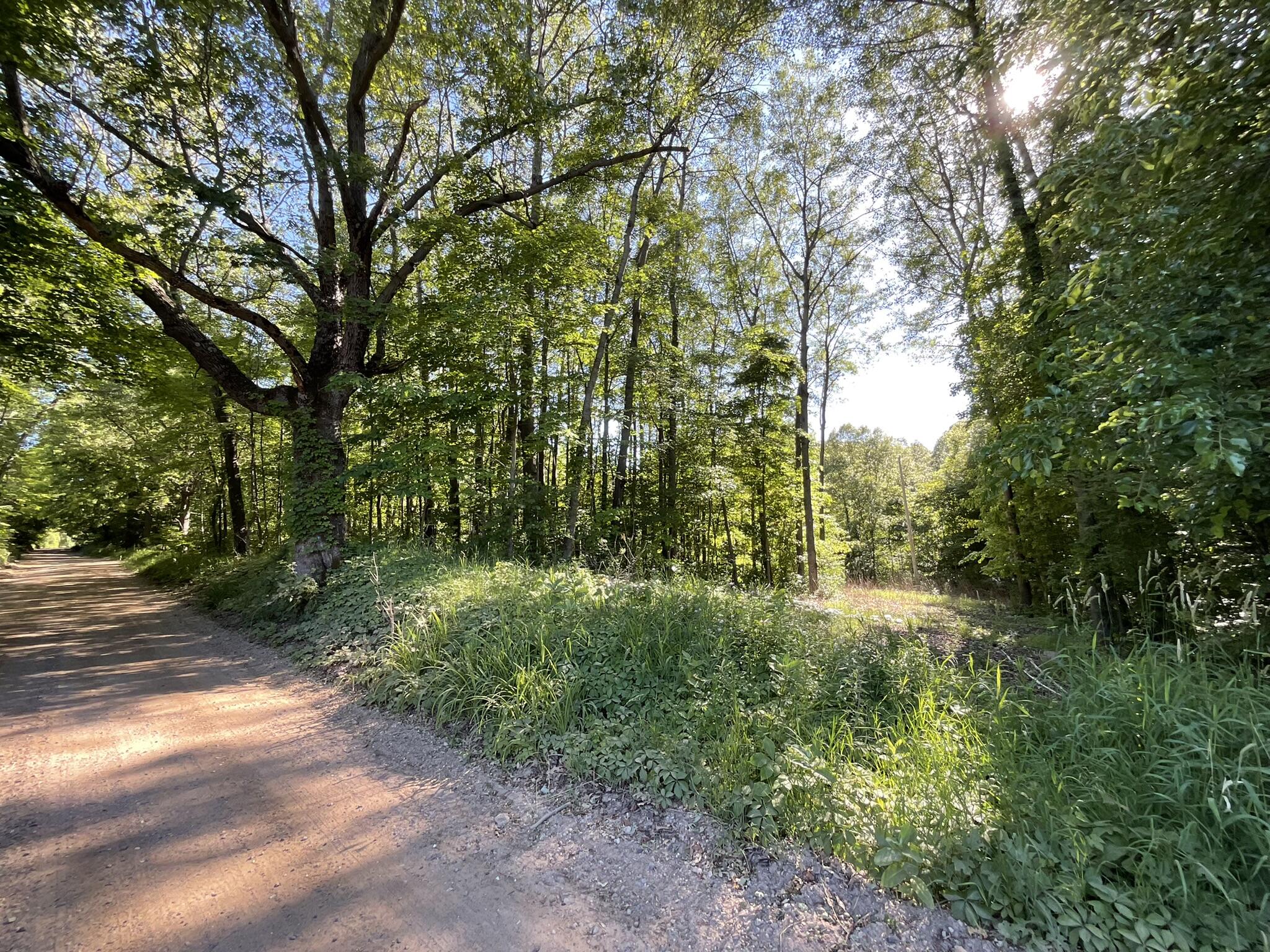 3980 Morgan Road Nashville, MI 49073 - Photo 25 of 35 IMG_0408