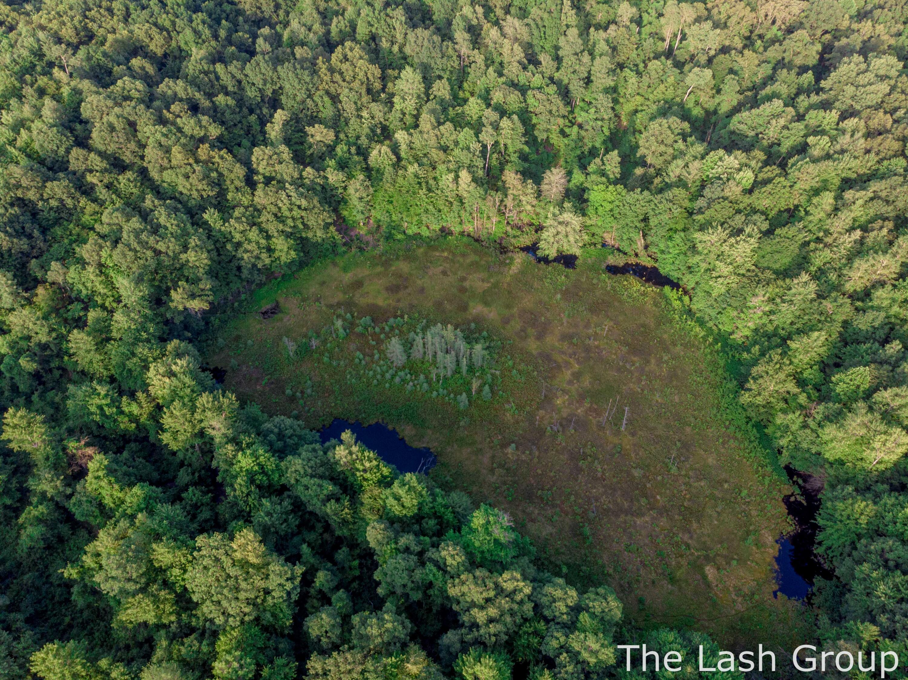 3980 Morgan Road Nashville, MI 49073 - Photo 6 of 35 Drone-14