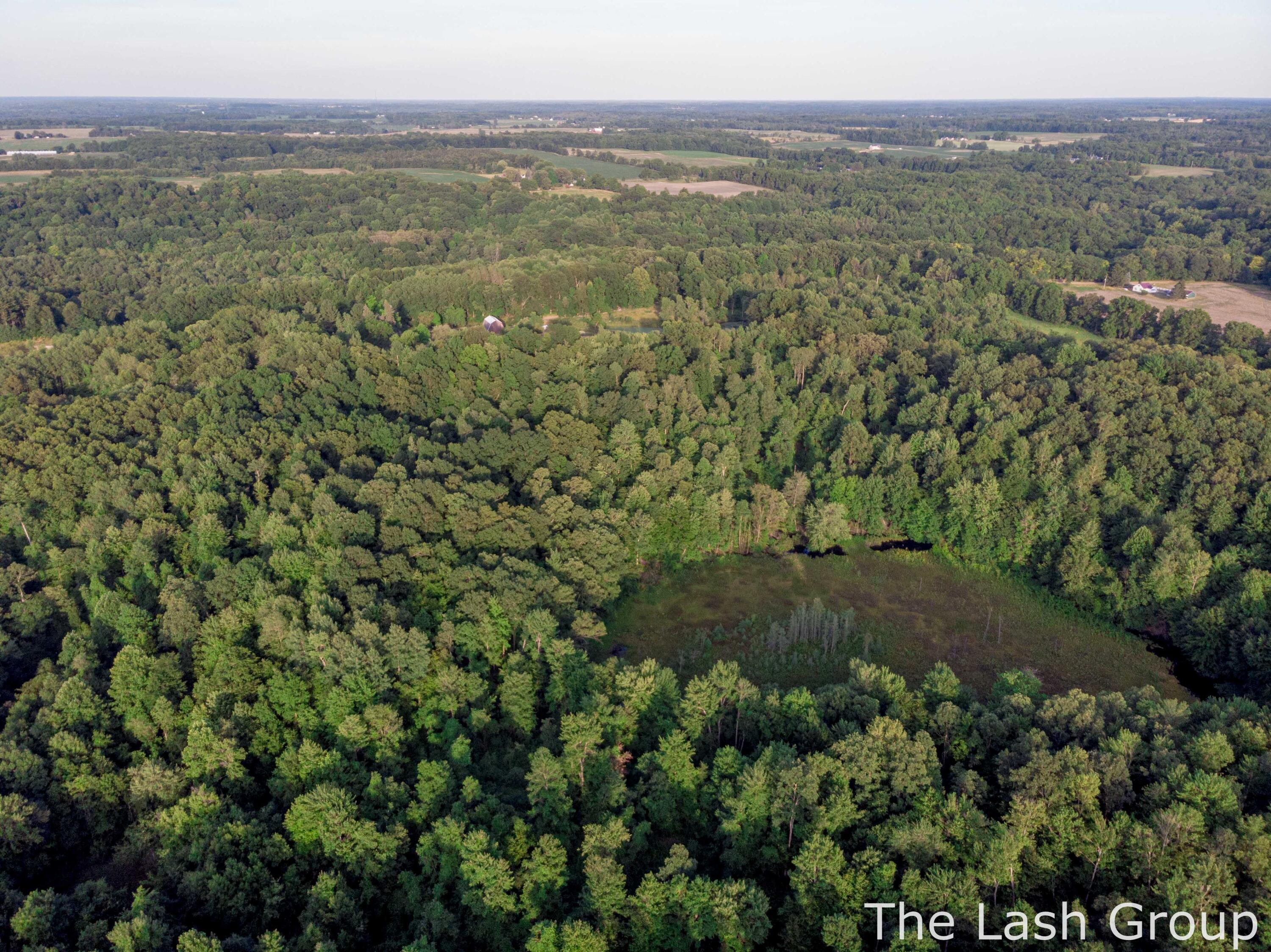 3980 Morgan Road Nashville, MI 49073 - Photo 7 of 35 Drone-13