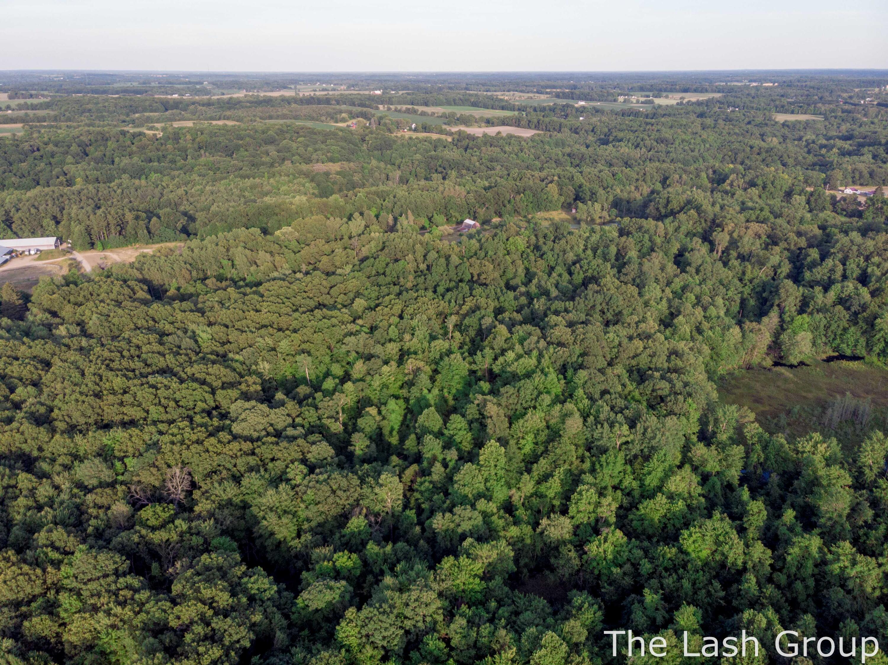 3980 Morgan Road Nashville, MI 49073 - Photo 8 of 35 Drone-12