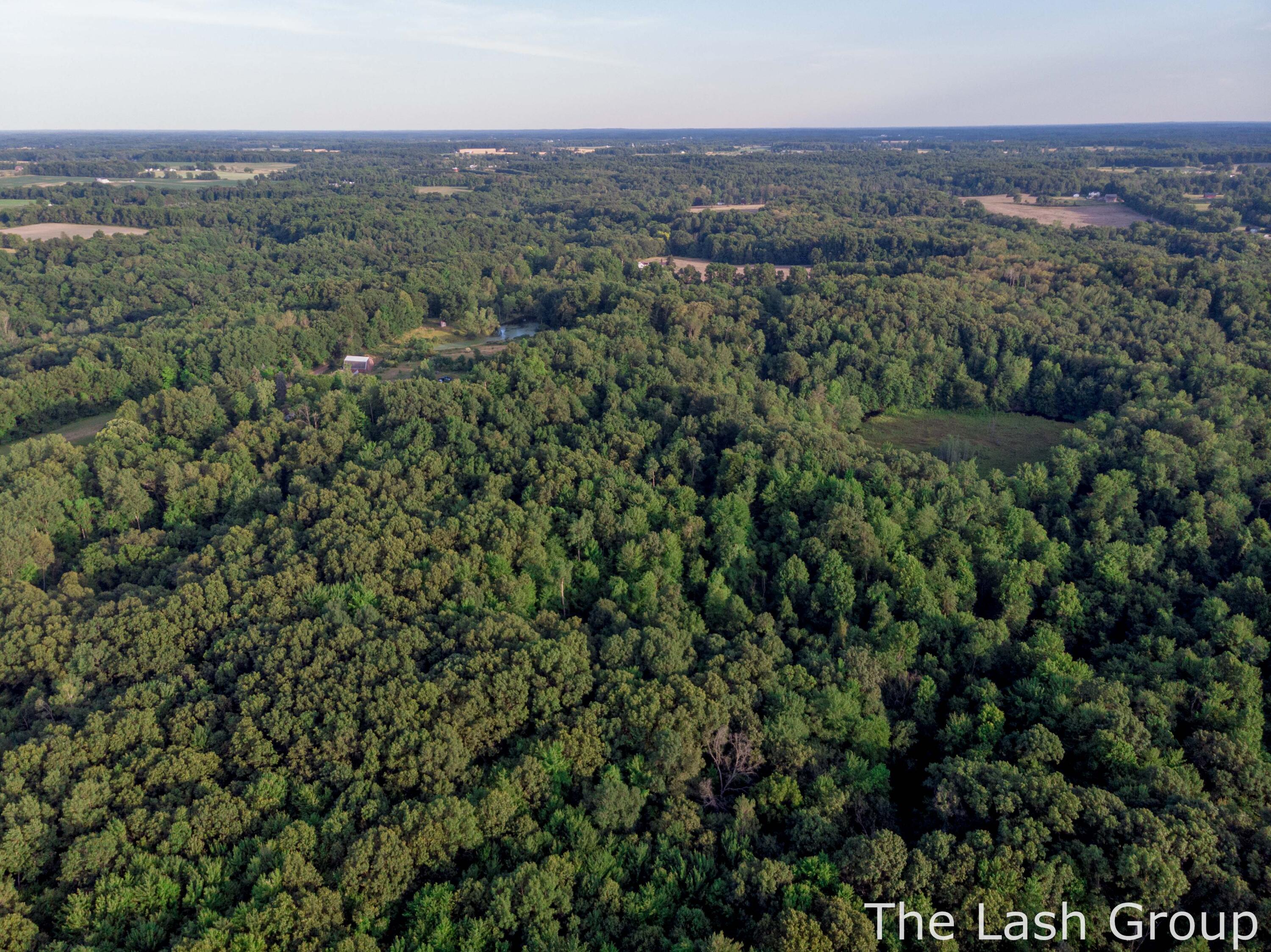 3980 Morgan Road Nashville, MI 49073 - Photo 9 of 35 Drone-11