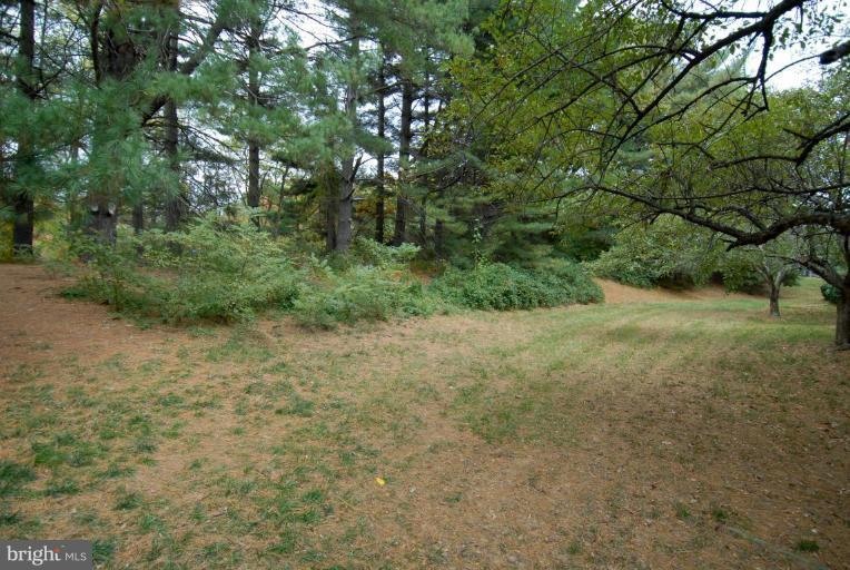 1402 Northgate Square, Unit 2/12B Reston, VA 20190 - Photo 18 of 18 Wooded View / Acreage