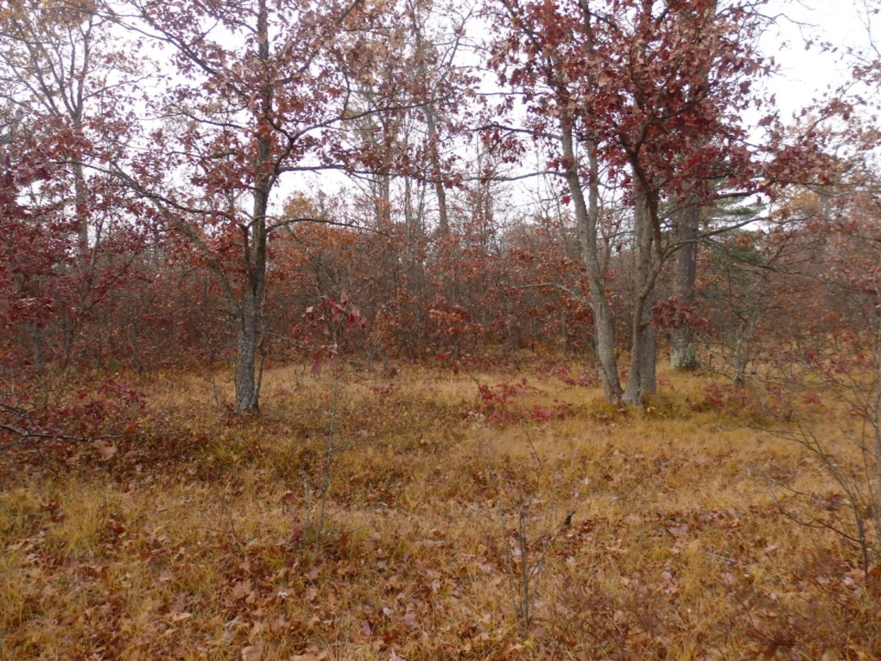 Custer Road Manistee, MI 49660 - Photo 3 of 12