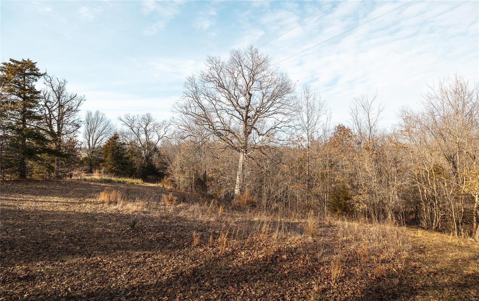 39 County Road 212 Linn, MO 65051 - Photo 21 of 29